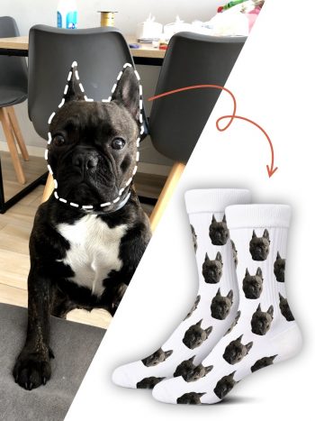 Skarpetki z Twoim psem