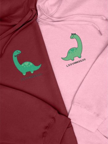 Zestaw dwóch bluz z haftem - Dinozaury